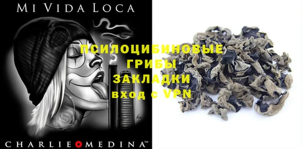 ПСИЛОЦИБИНОВЫЕ ГРИБЫ Алзамай