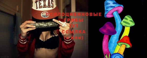 ПСИЛОЦИБИНОВЫЕ ГРИБЫ Алзамай