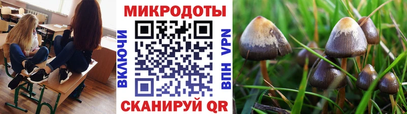 Псилоцибиновые грибы мухоморы Чайковский