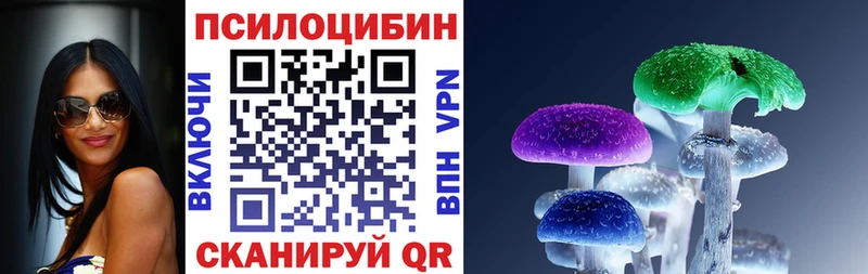 купить   Чайковский  Псилоцибиновые грибы мухоморы 